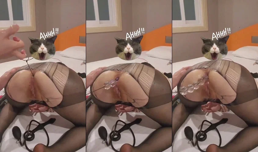 Phim  Sex Cho em thử chịch đít 1 lần mà giờ em nghiện luôn cứ bắt anh nghịch mới chịu