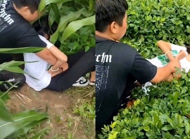 Phim  Sex Quay clip hiếp dâm em gái ngoan ngoãn